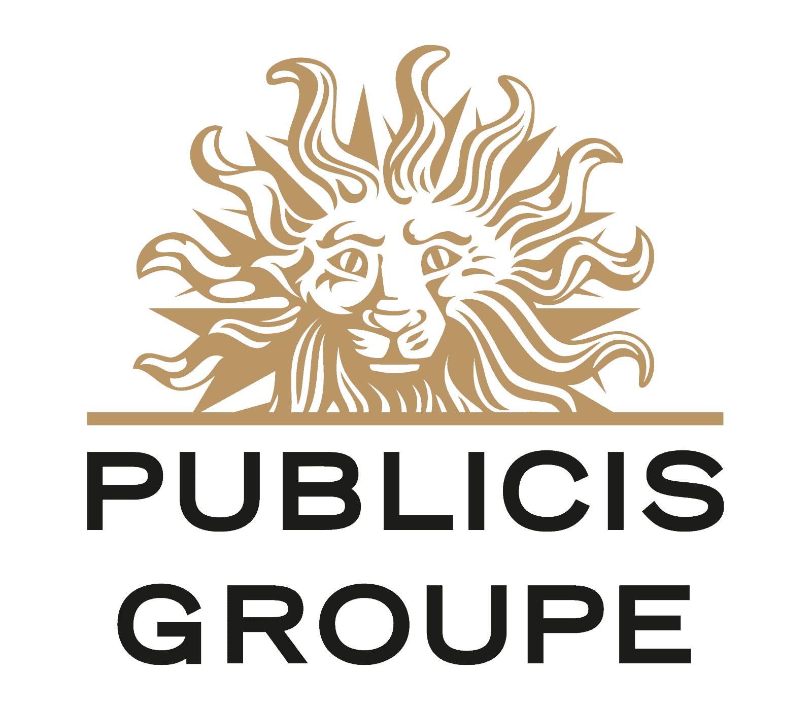 publicis-groupe
